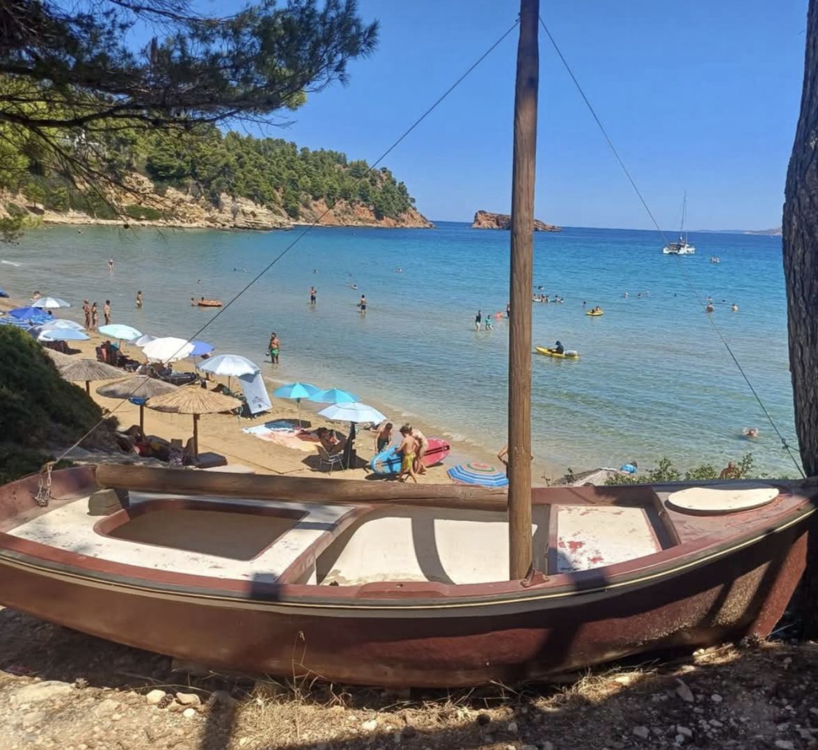 IMG_20251102_104843(1)